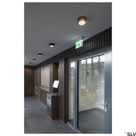 FERA 26 CL DALI LED fekete 19.5w 3000/4000K 90° dimmelhető mennyezeti lámpa