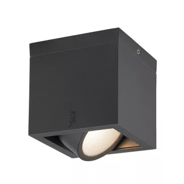   ESKINA FRAME CL antracit szögletes kültéri mennyezeti LED lámpa